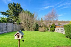 Photo 15- click for photo gallery